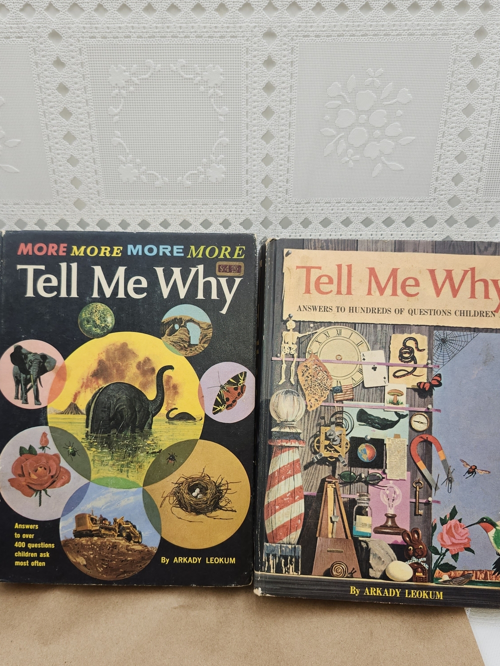 Tell Me Why Children's Book - Black and Multicolor Cover